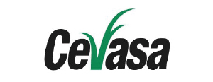 cevasa