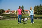 Two teens walking a dog outside.