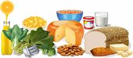 A sampling of foods that are high in calcium. 