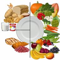 A plate with examples of foods in a healthy diet.