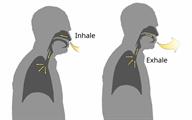 A person inhaling air through the nose and exhaling air through pursed lips.