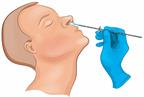 A sample being collected by swabbing the nose.