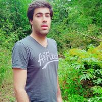 Ahmadreza Vahid dastjerdi