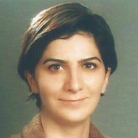 Anil Dolgun Anil Dolgun