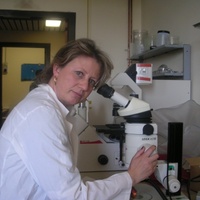 Cinzia Gravili
