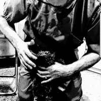Curtis Dewey
