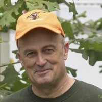 David Ward