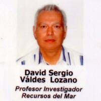 David Valdes-Lozano
