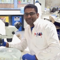 Dhanasekaran Sakthivel Dhanasekaran Sakthivel