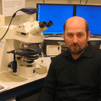 Dimitry Sorokin Dimitry Sorokin