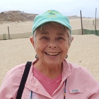 Diane Nelson