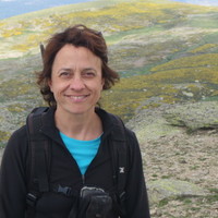 ELENA ESCAMILLA-MARTÍNEZ ELENA ESCAMILLA-MARTÍNEZ