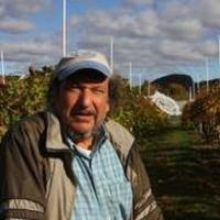 Francis Ferrandino Francis Ferrandino