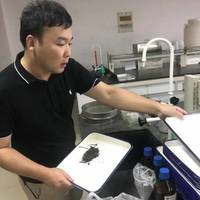 Guanxiong Zhang