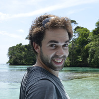 Henrique Bravo