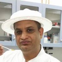 Javaid Iqbal Javaid Iqbal
