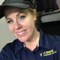 Jennifer Chase Jennifer Chase