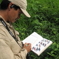 Joaquín Ugarte-Núñez