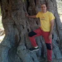 Juan Palomares-Rius Juan Palomares-Rius
