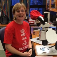 Kate Mortimer