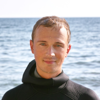 Lev Kalmykov Lev Kalmykov