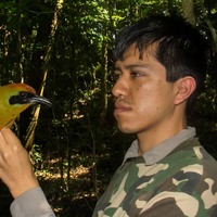Luis Martin Vallejos
