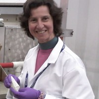 Maria Paula Marques Maria Paula Marques