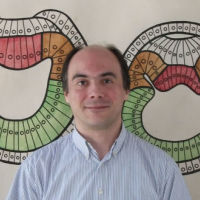 Michele Boiani Michele Boiani