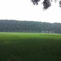 Yongjing Ni