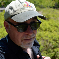 P. David Polly