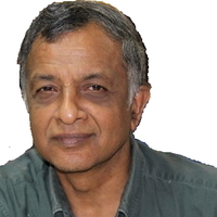 Palayakotai Raghavan Palayakotai Raghavan