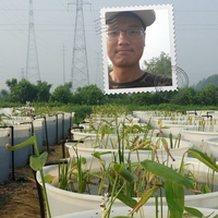 Penghe Wang Penghe Wang