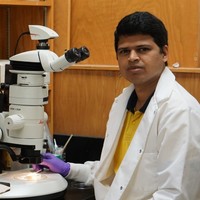 PRAKASH SANJEEVI PRAKASH SANJEEVI
