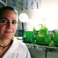 Silvia Faustino Silvia Faustino