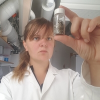 Therese Karlsson