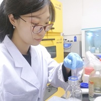 Xinyue Bi