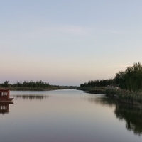 Yanling Yin