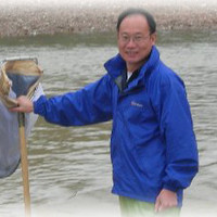 Yixin Zhang