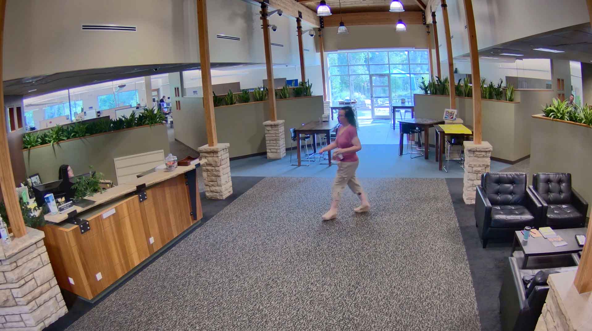 pelco low light camera dynamic range on