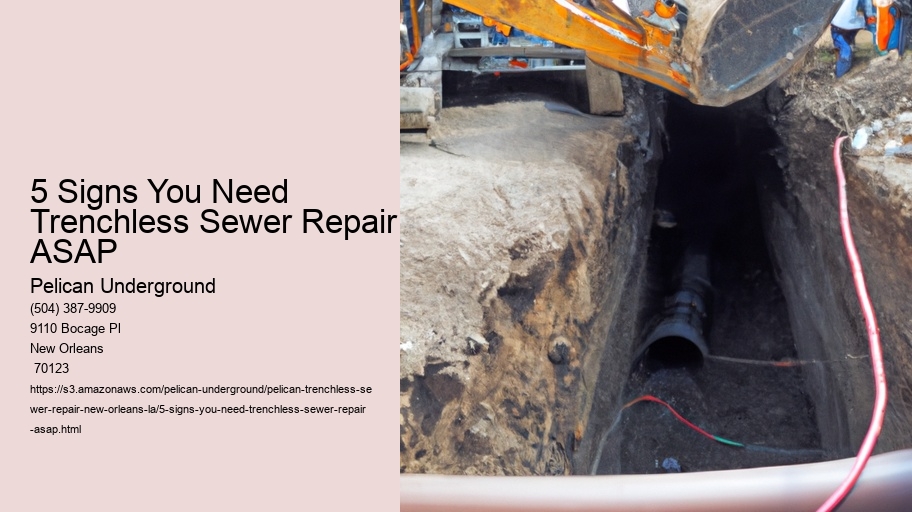 5 Signs You Need Trenchless Sewer Repair ASAP