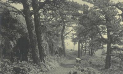 Ocean Path trail