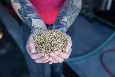 Brewing PEM