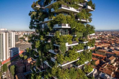 Wd Bosco Verticale009