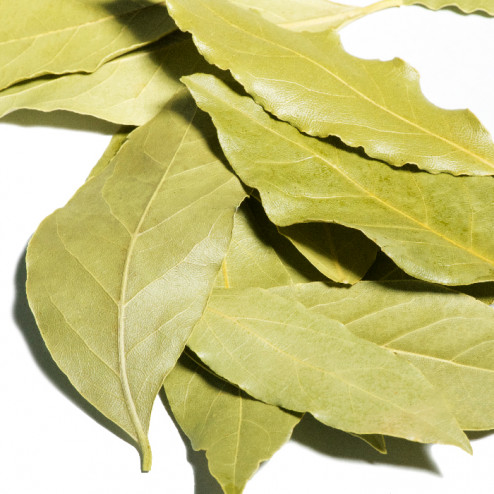 Bay Leaves2 Bay Leaves