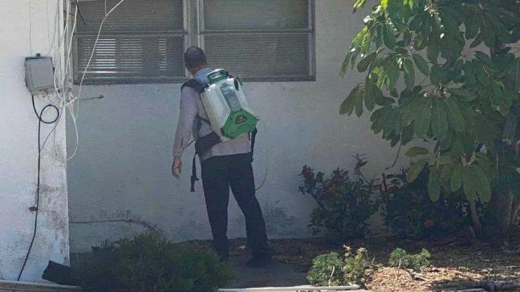 Residential Pest Control Services Port Charlotte