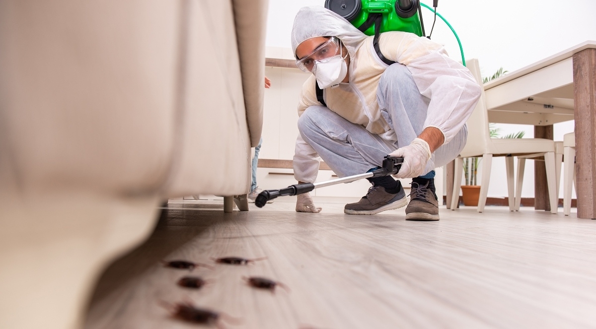 Commercial Pest Control in McKinney Texas