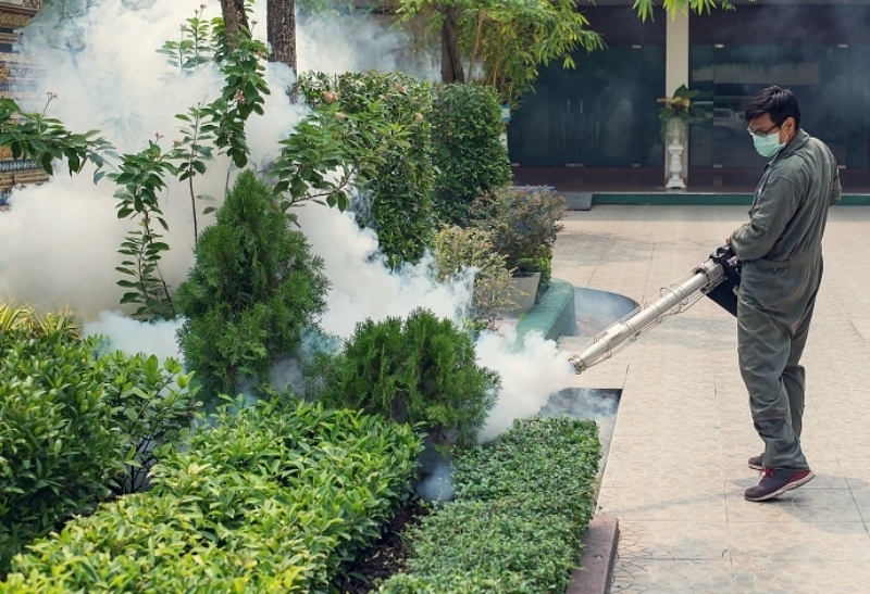 The Science Behind Effective Pest Control in McKinney