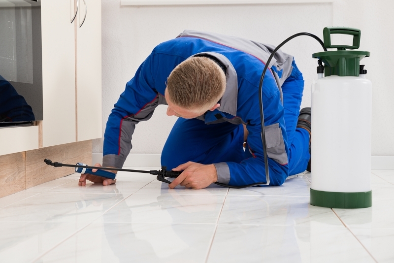 The Science of Pest Control: How Professionals Keep Your Home Safe