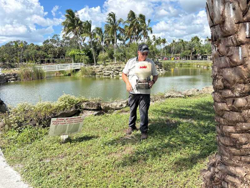 Safe pest treatments Arcadia