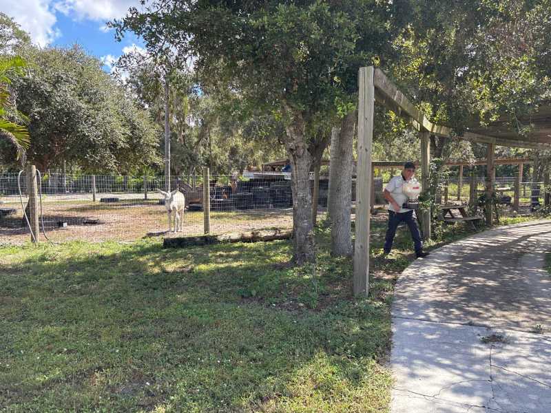 Rodent Control in Arcadia